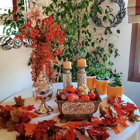 Asteras Naousa (Imathia)